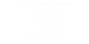 Lights Camera Action